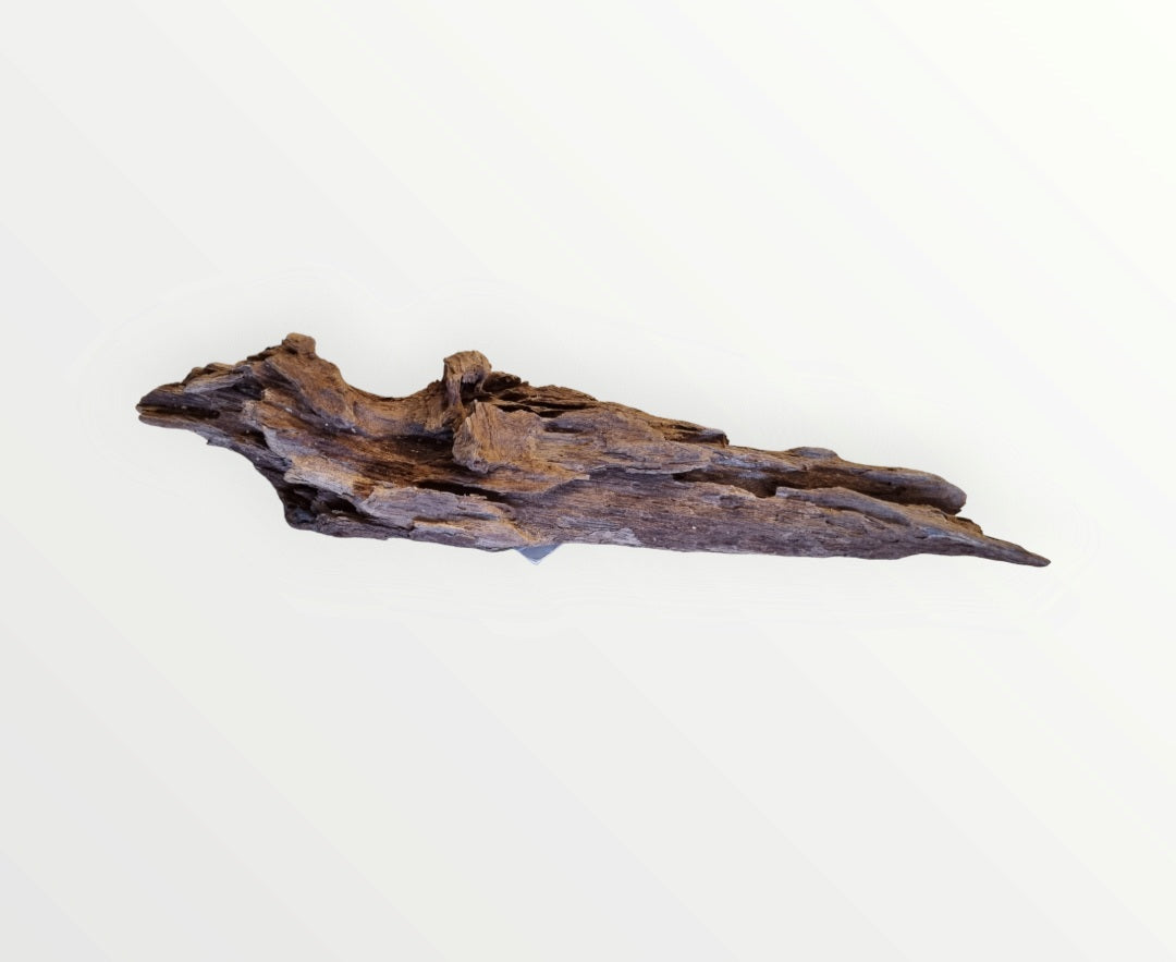 Mangrove Größe M / Nr.125