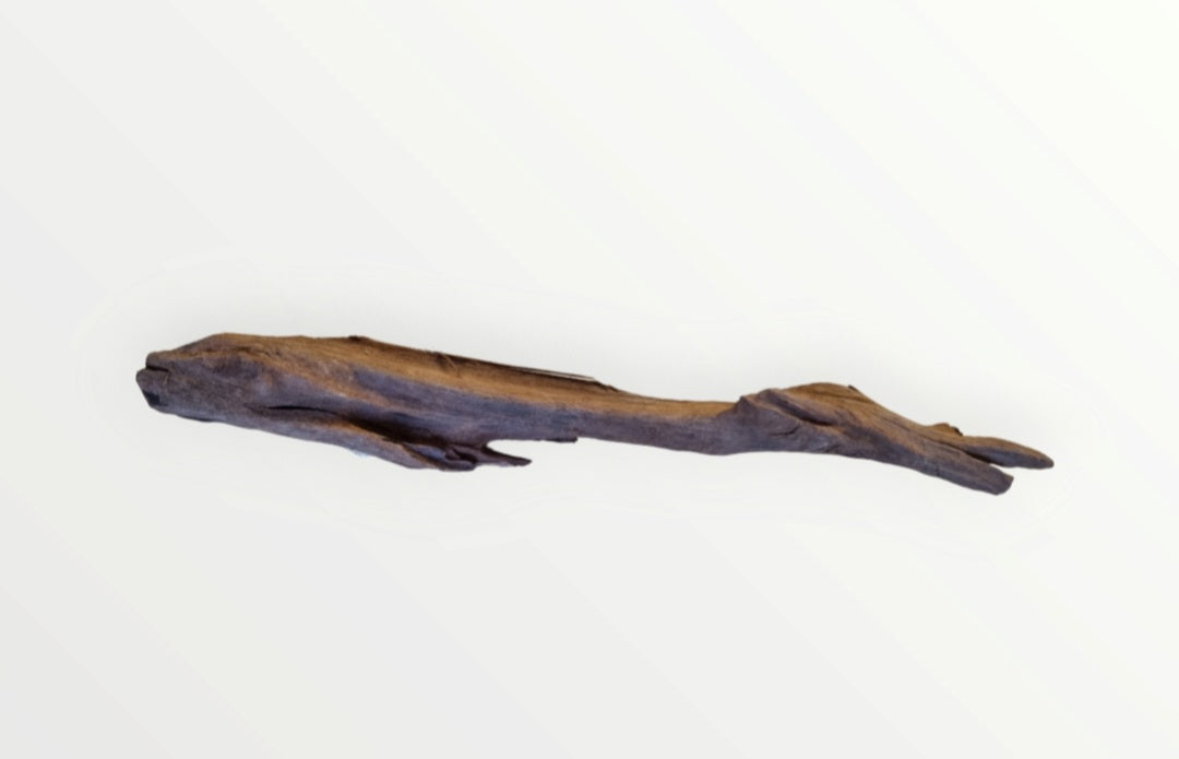 Mangrove Größe M / Nr.24