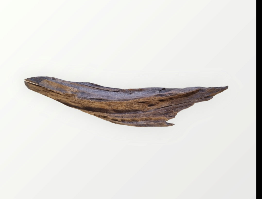 Mangrove Größe M / Nr.109