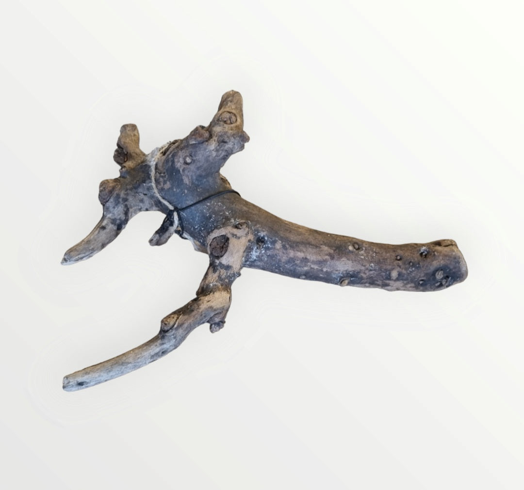 Kuwa Wurzel Wurzel369