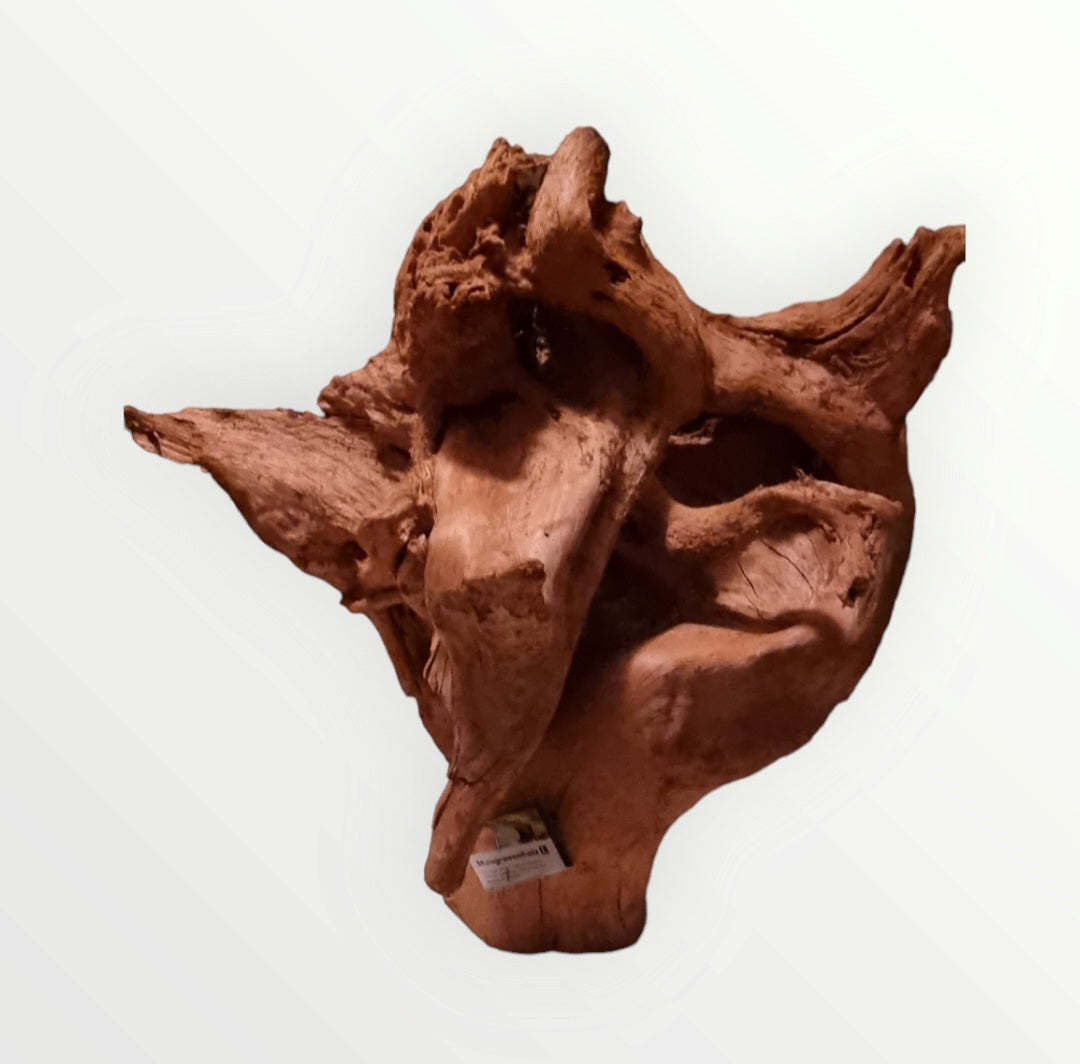 Mangrove Größe XL / Nr.378