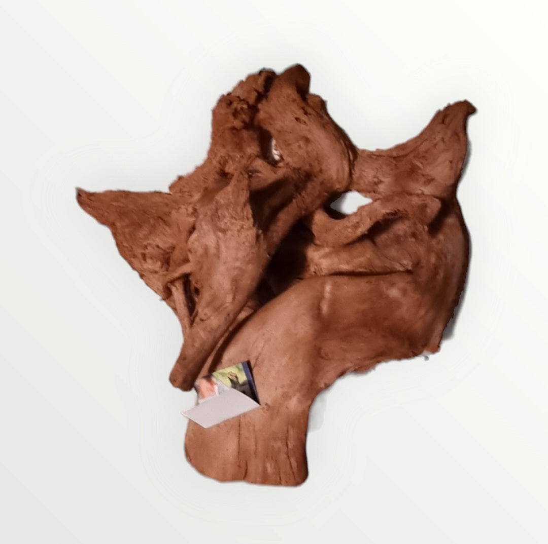 Mangrove Größe XL / Nr.378