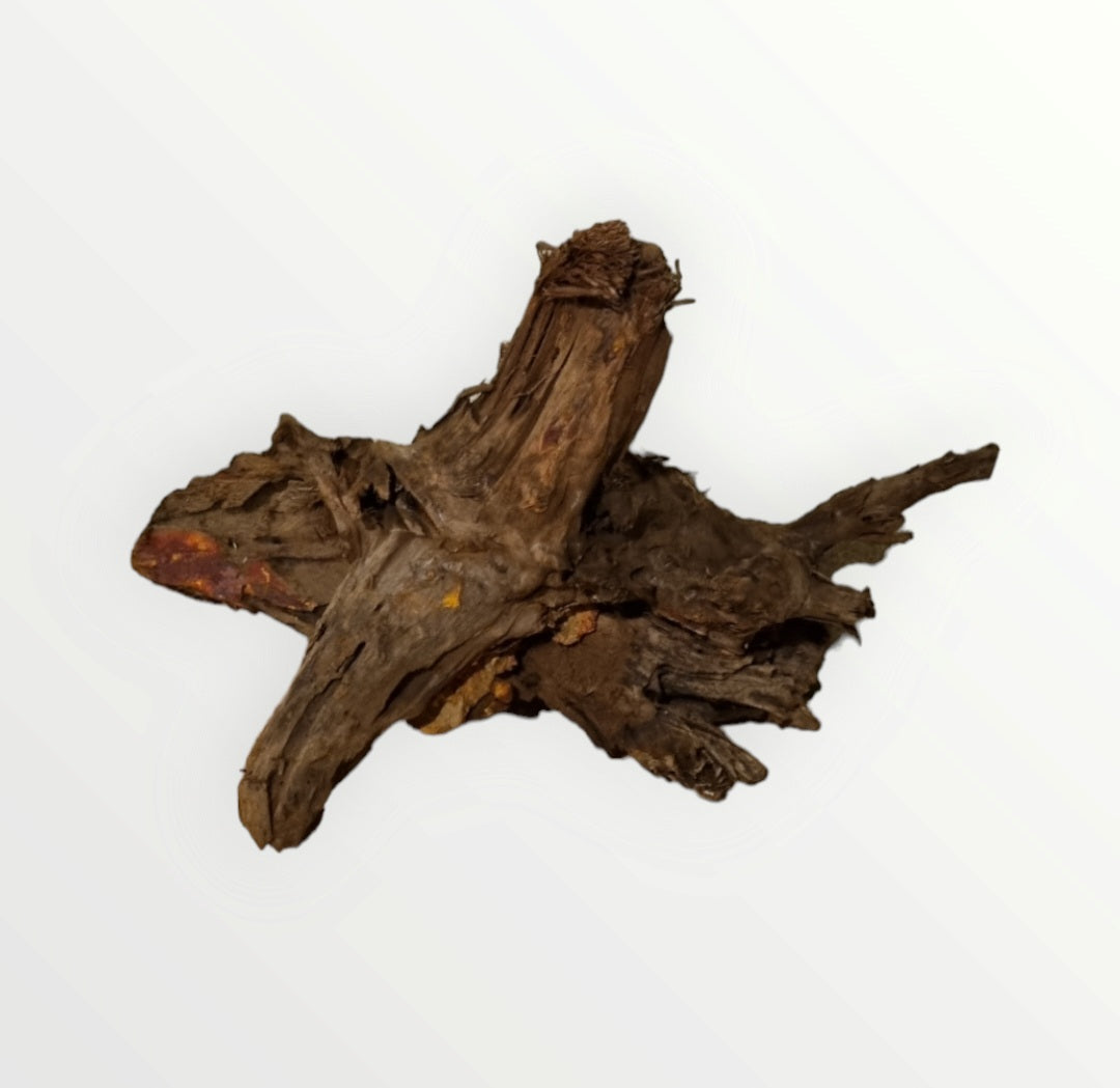 Mangrove Größe XL / Nr.382