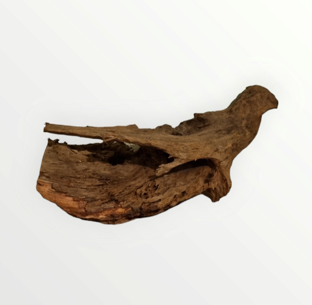 Mangrove Größe XL / Nr.384