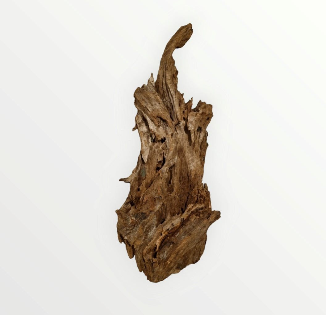 Mangrove Größe XL / Nr.385