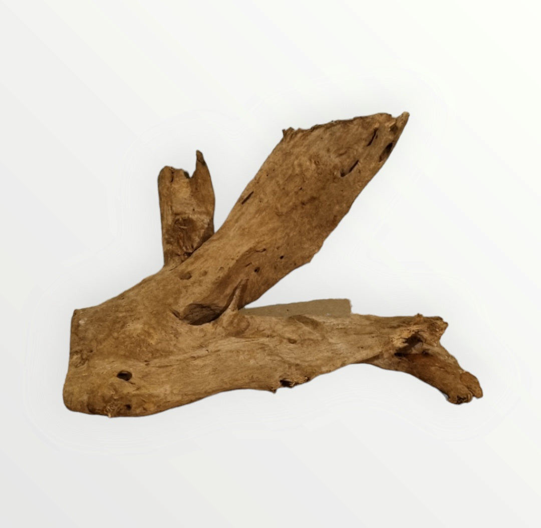 Mangrove Größe XL / Nr.386