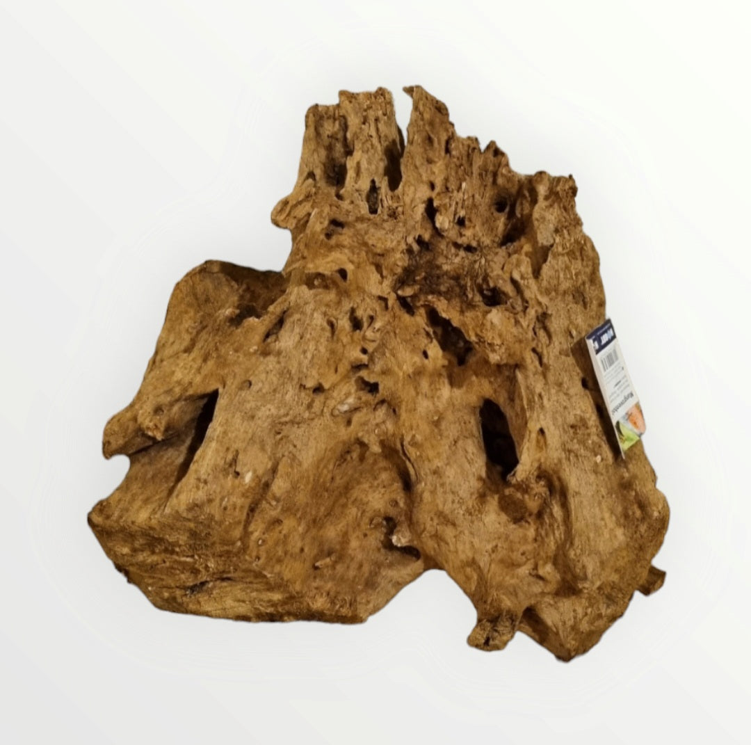 Mangrove Größe XL / Nr.387