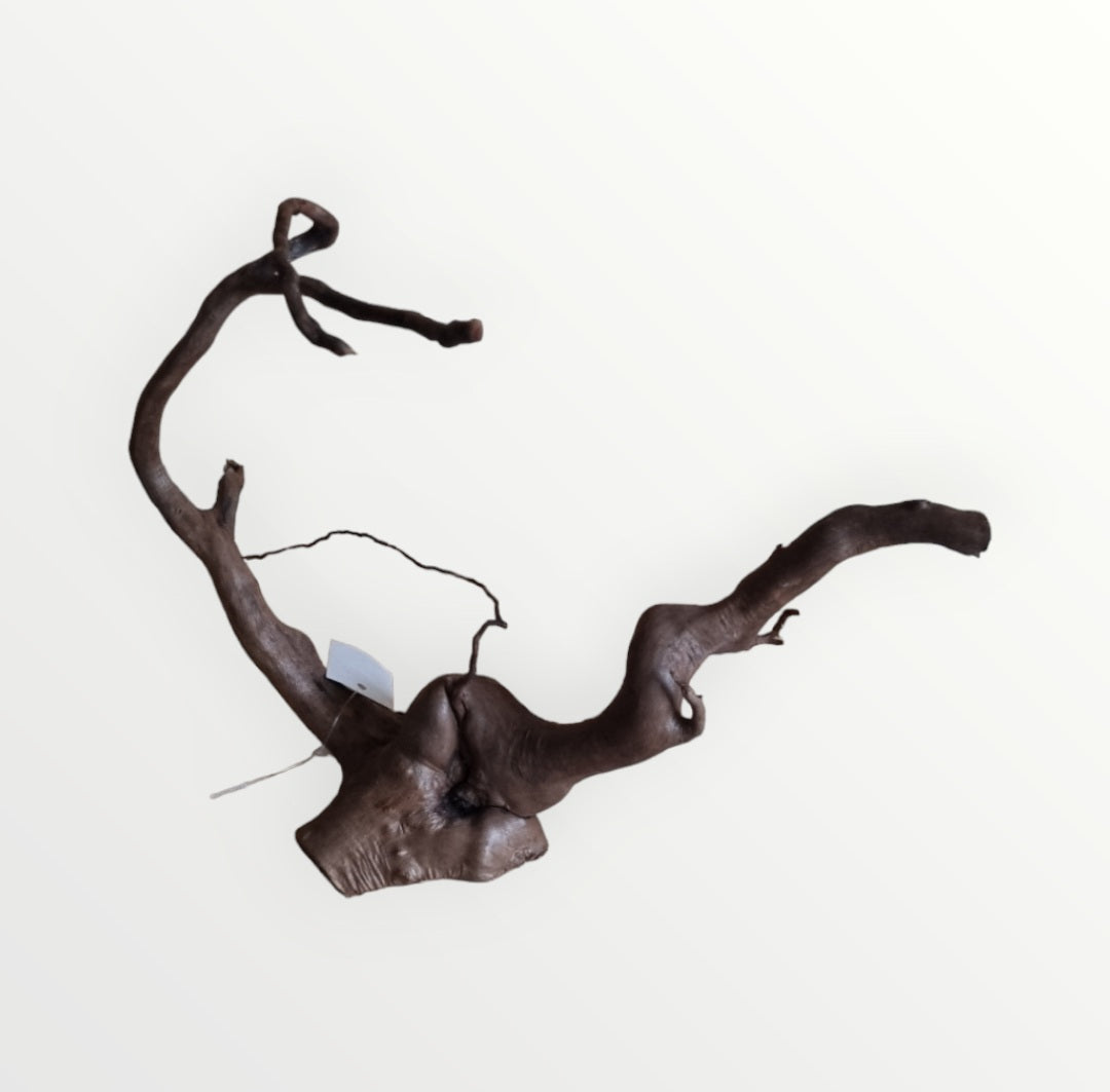 Dunkle Moorwurzel 20-30 cm Wurzel383