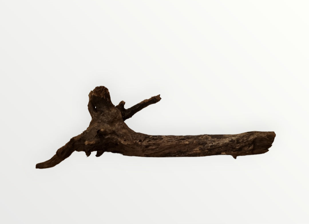 Driftwood / Flusswurzel   Nr.1