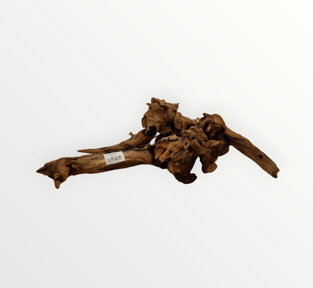 Driftwood / Flusswurzel Nr.219