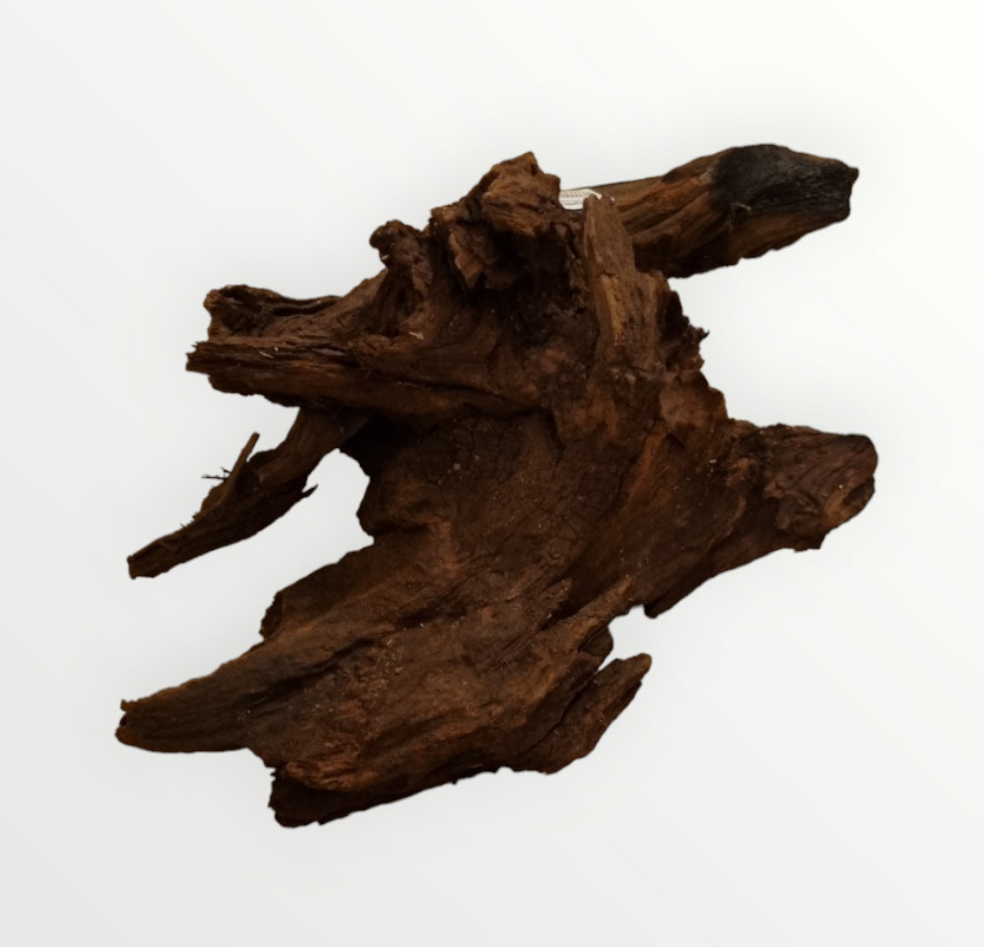 Driftwood / Flusswurzel Nr.218