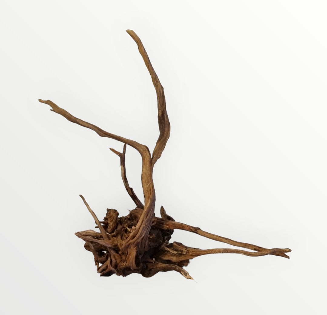 Black Slim Wood Größe XL Nr.395