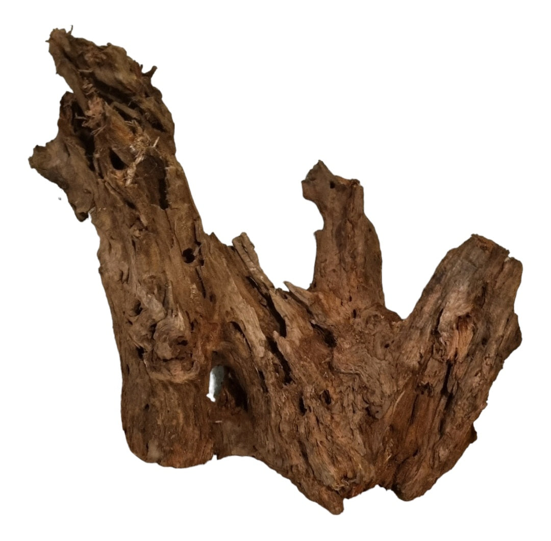 Mangrove Größe XL / Nr.412