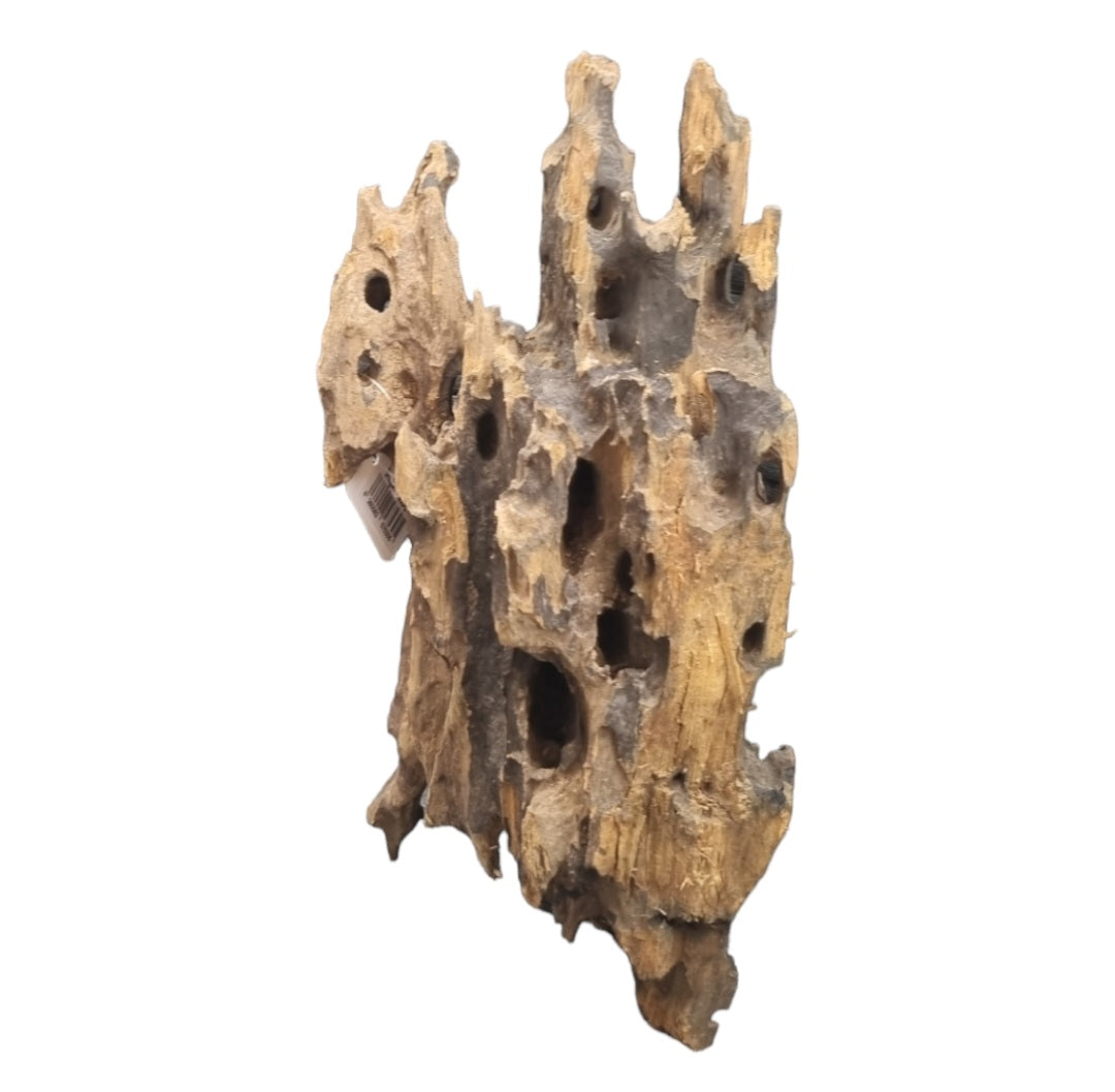 Drachenholz / Dragonwood L Wurzel201