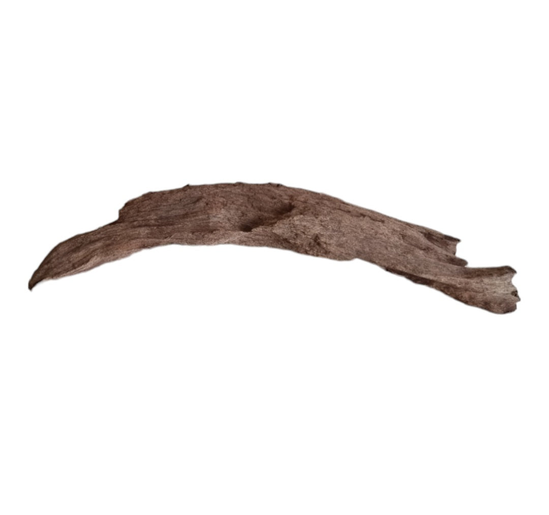 Yati Holz / Jungle Wood, M, 25-35 cm Wurzel71