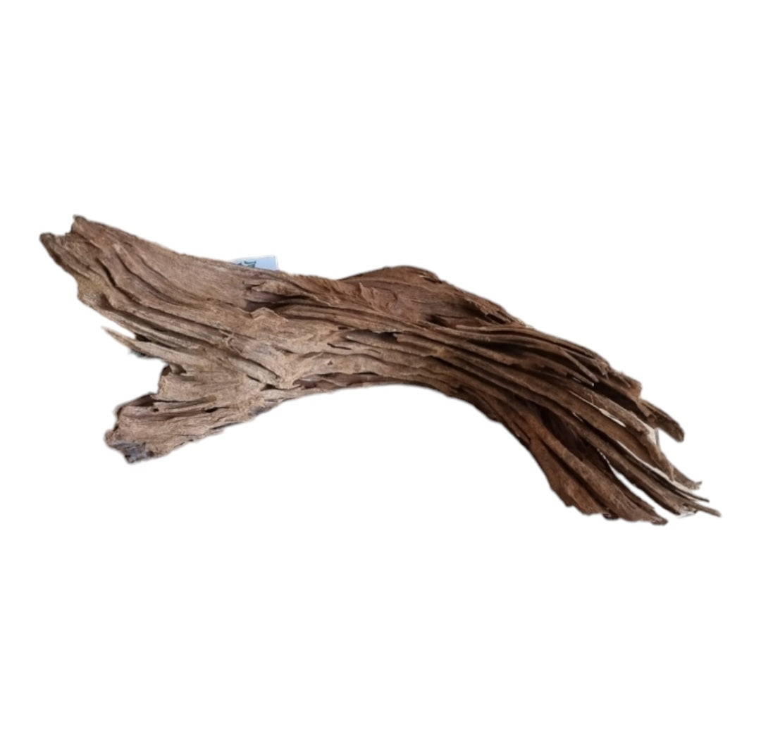 Yati Holz / Jungle Wood, M, 25-35 cm  / ähnlich Mangroven  Nr. 104
