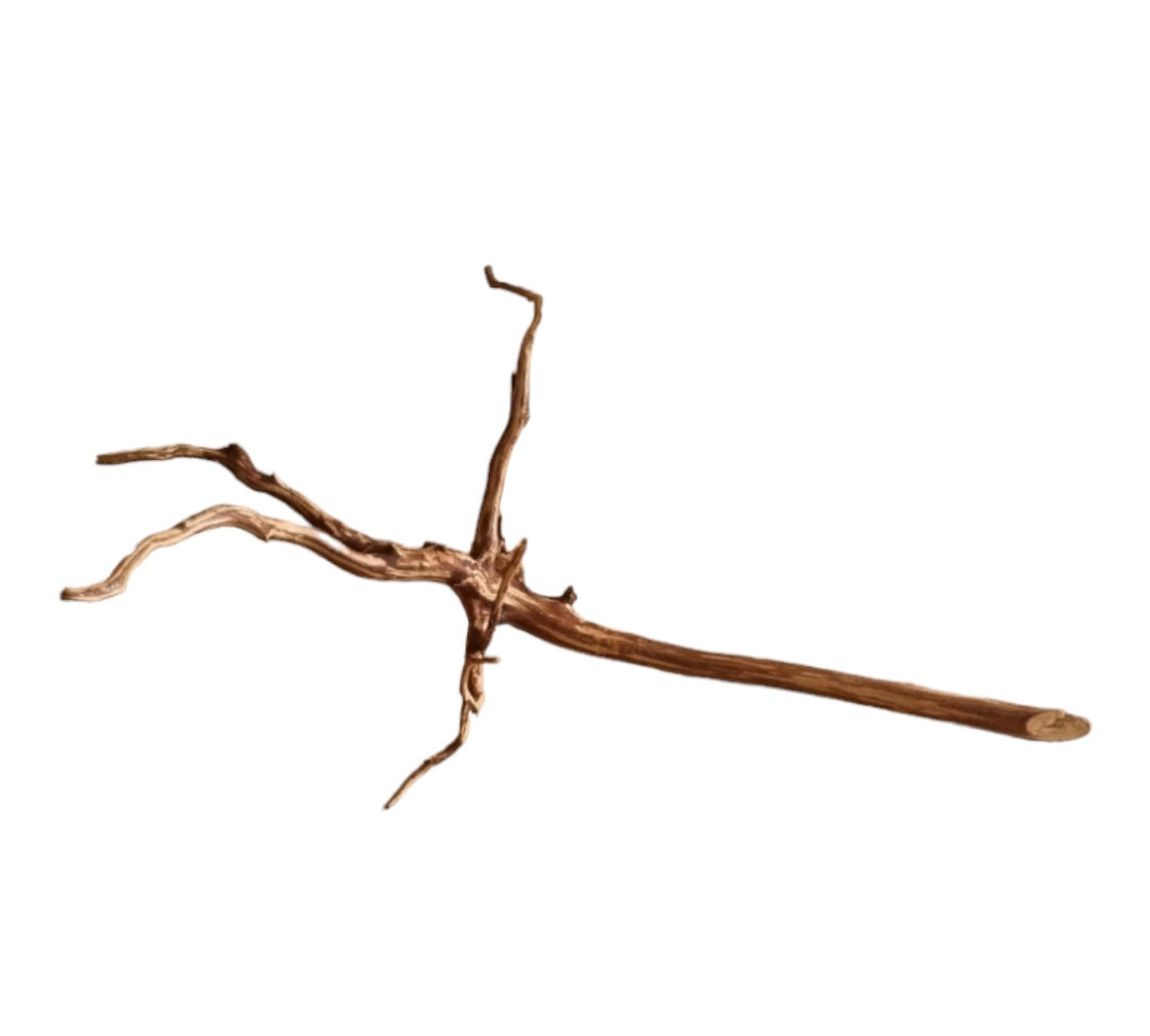 Dark Snake Wood Nr.438