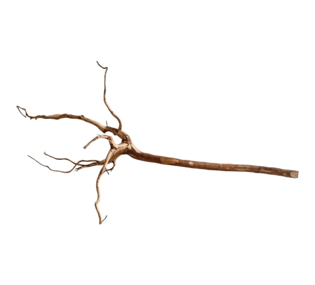 Dark Snake Wood Nr.439