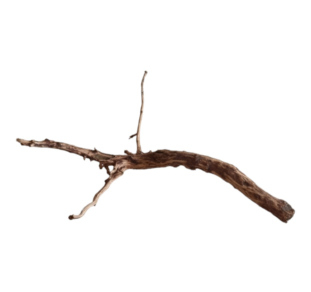 Dark Snake Wood Nr.440