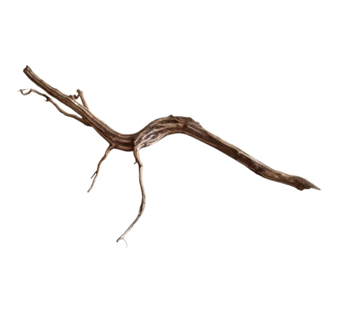 Dark Snake Wood Nr.441