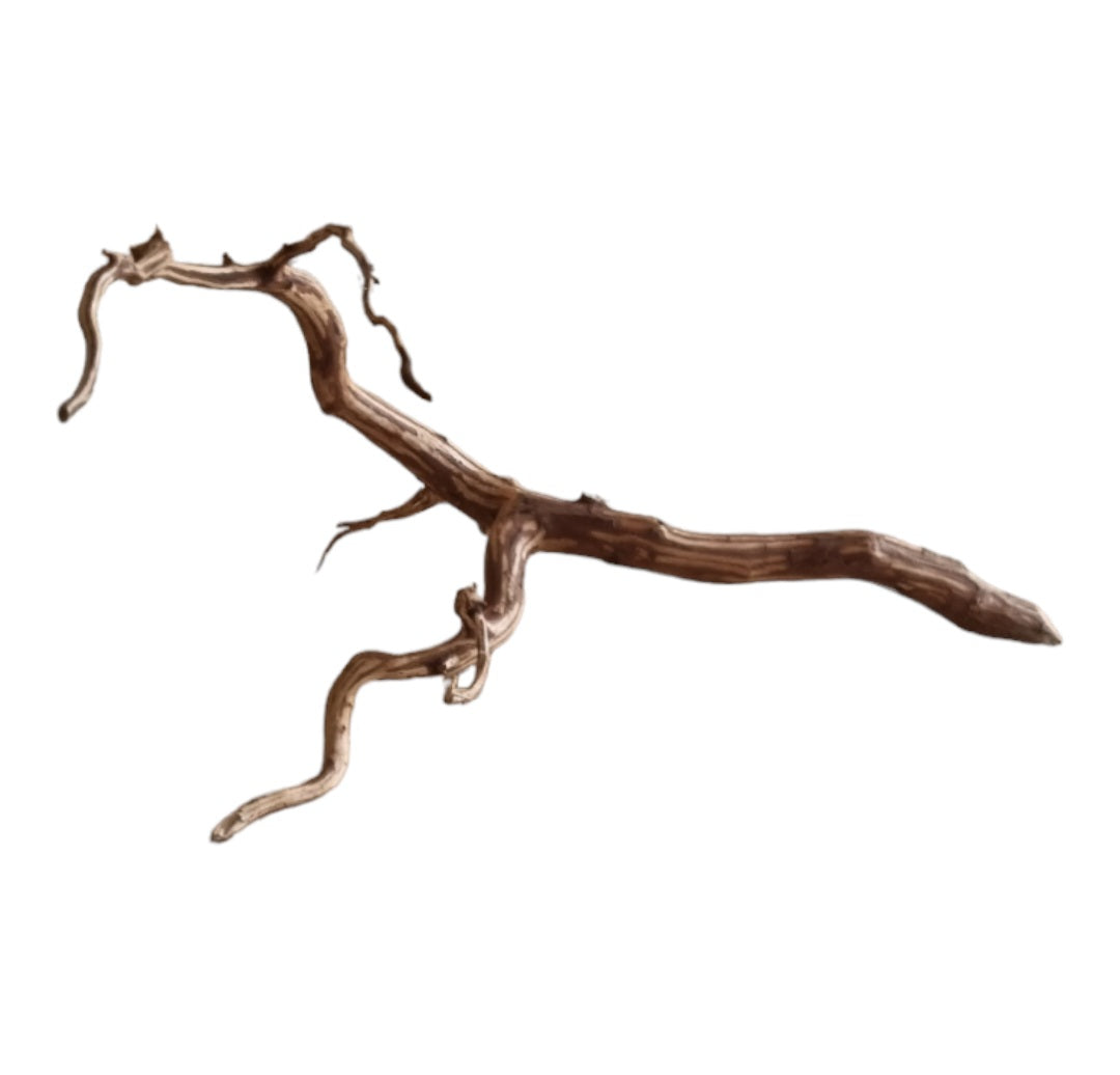 Dark Snake Wood Nr.443