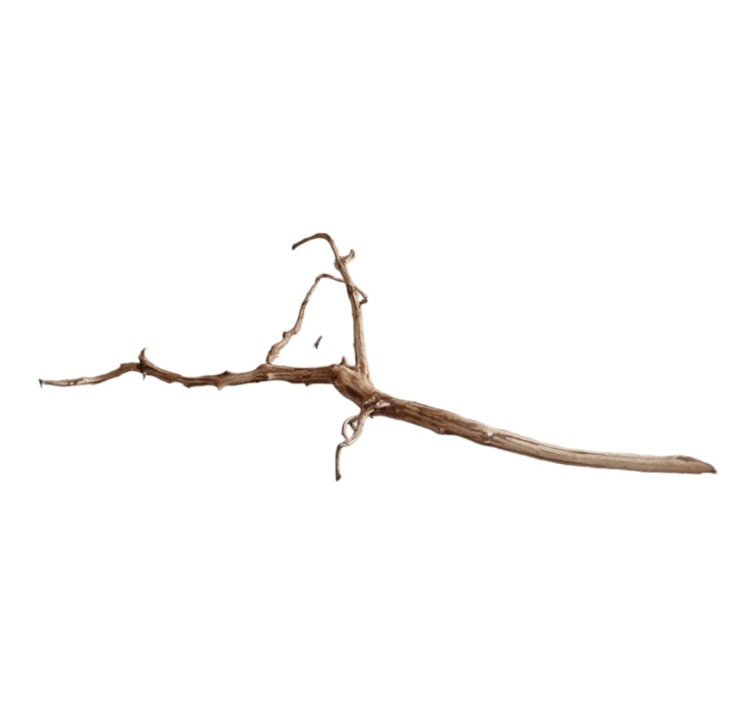 Dark Snake Wood Nr.444