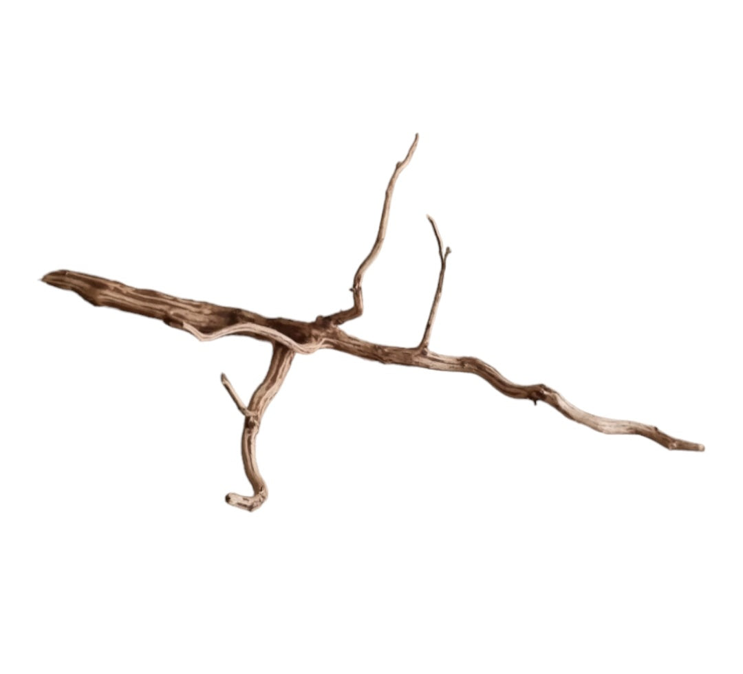 Dark Snake Wood Nr.448