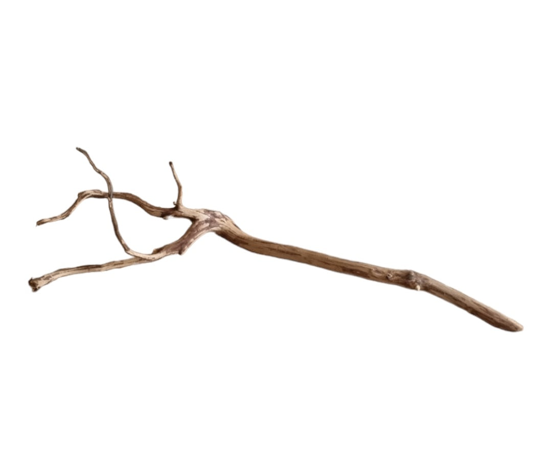 Dark Snake Wood Nr.451