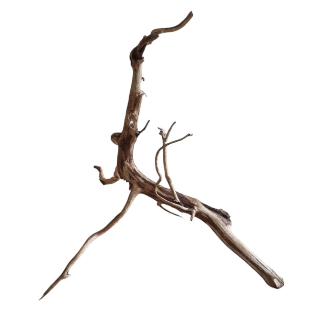 Dark Snake Wood Nr.452