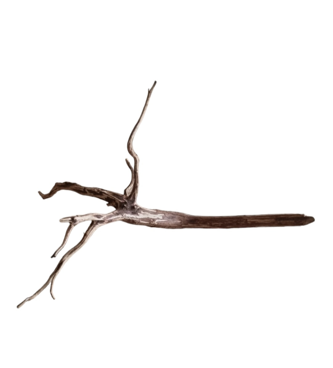 Dark Snake Wood Nr.454