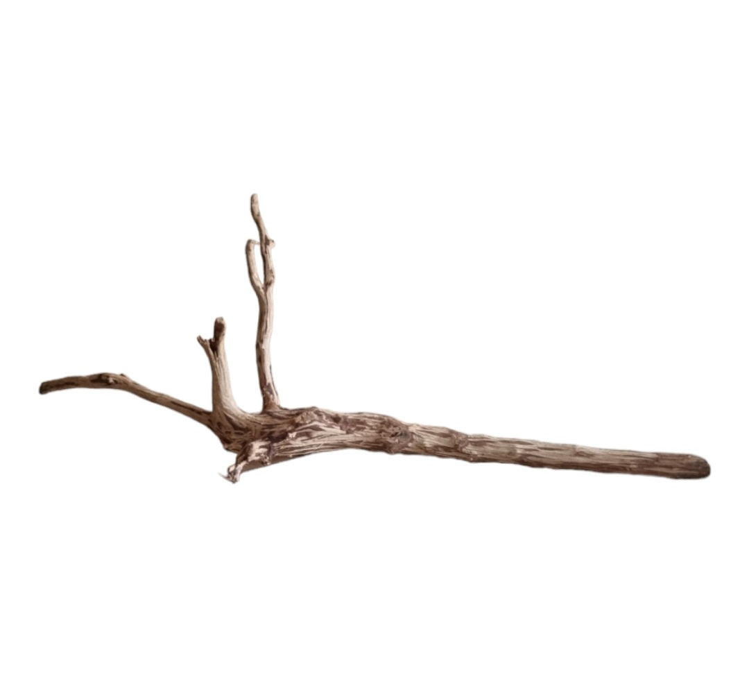 Dark Snake Wood Nr.455