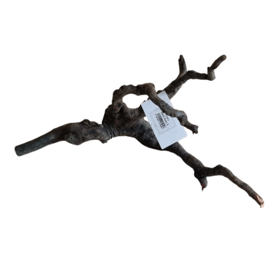 Black Root S Wurzel460