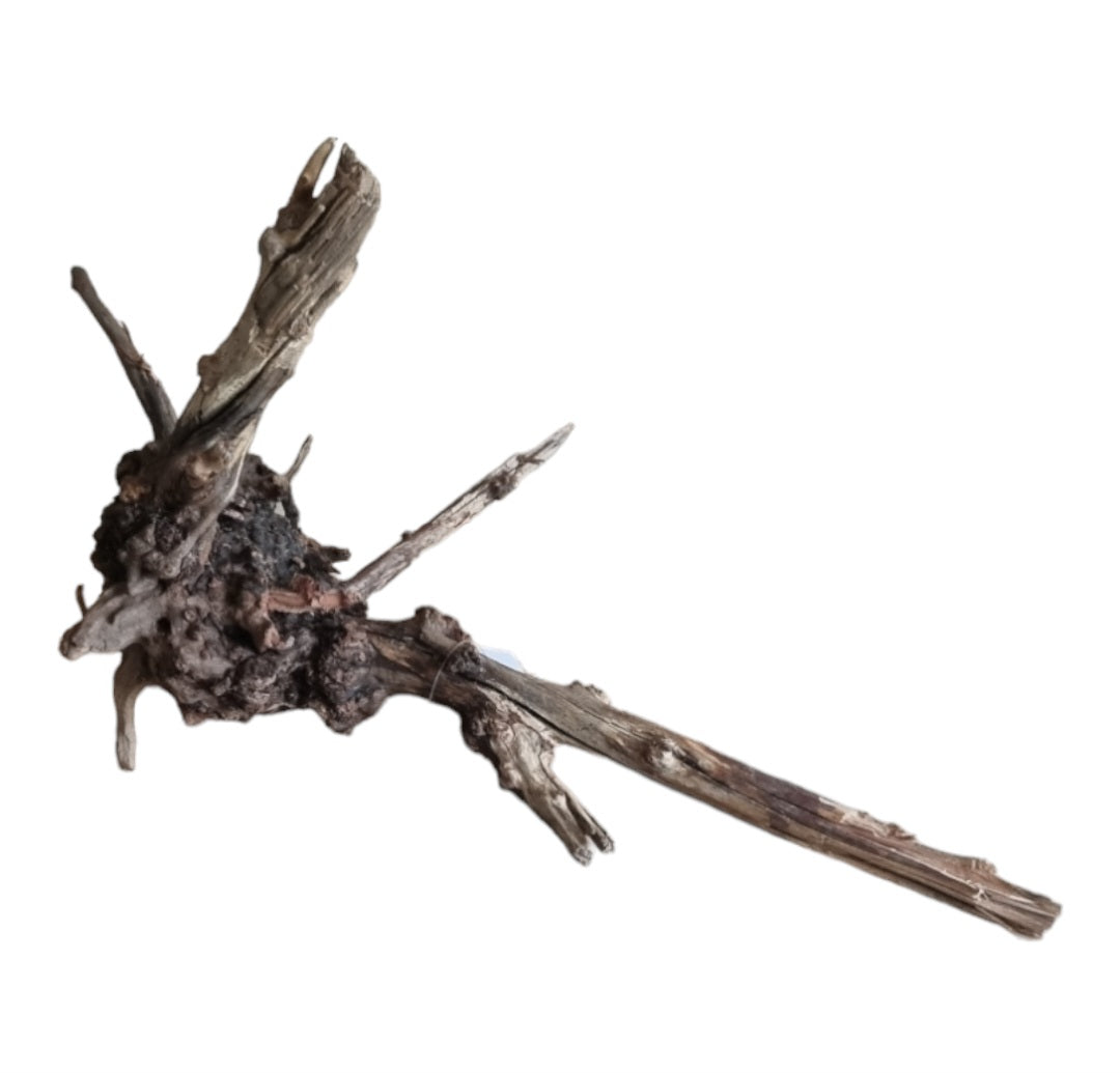 Black Slim Wood Größe M Nr.59