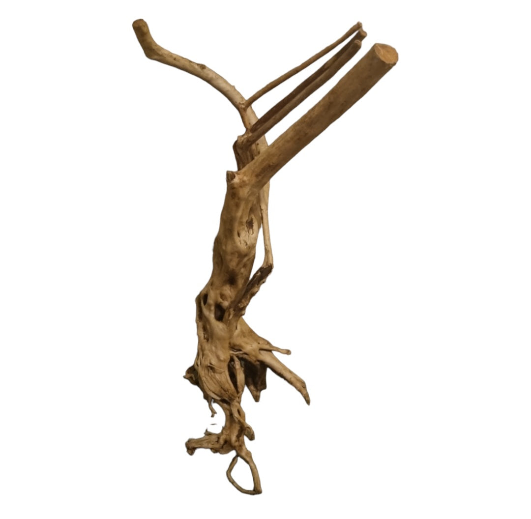 Rainforest Wood Stump Nr.467