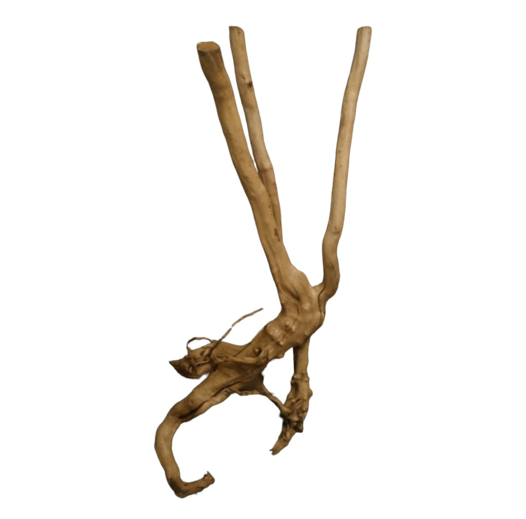Rainforest Wood Stump Nr.466