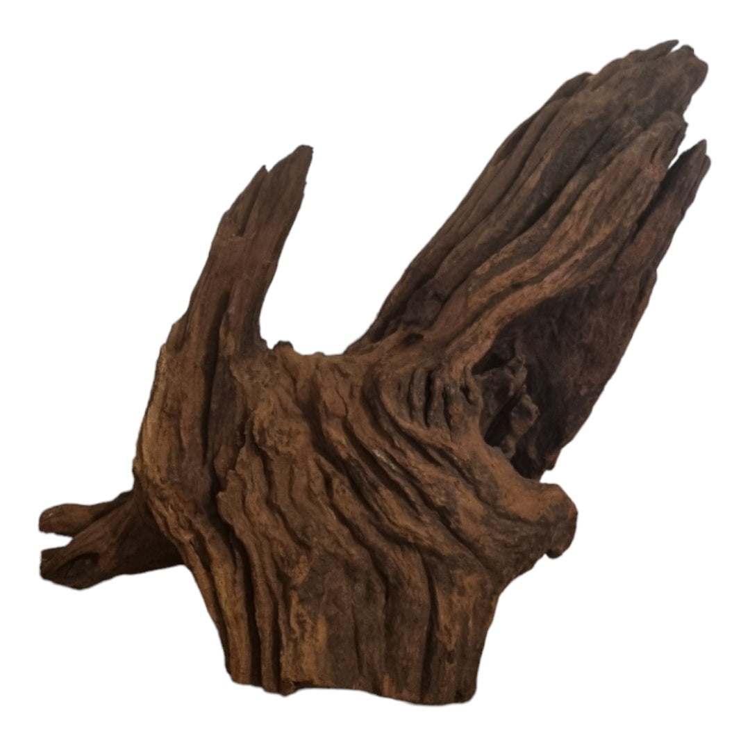 Driftwood / Flusswurzel Nr. 496