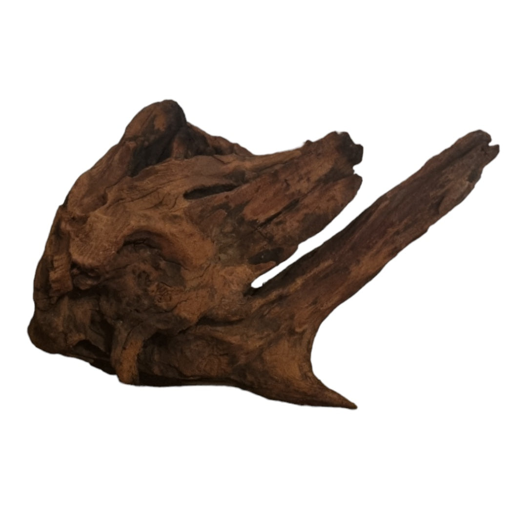 Driftwood / Flusswurzel Nr. 493