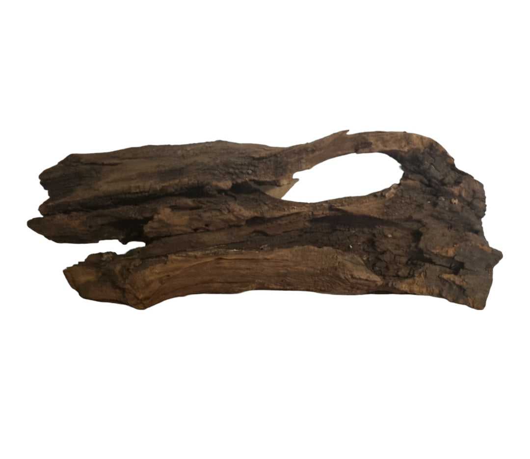 Driftwood / Flusswurzel Nr. 492
