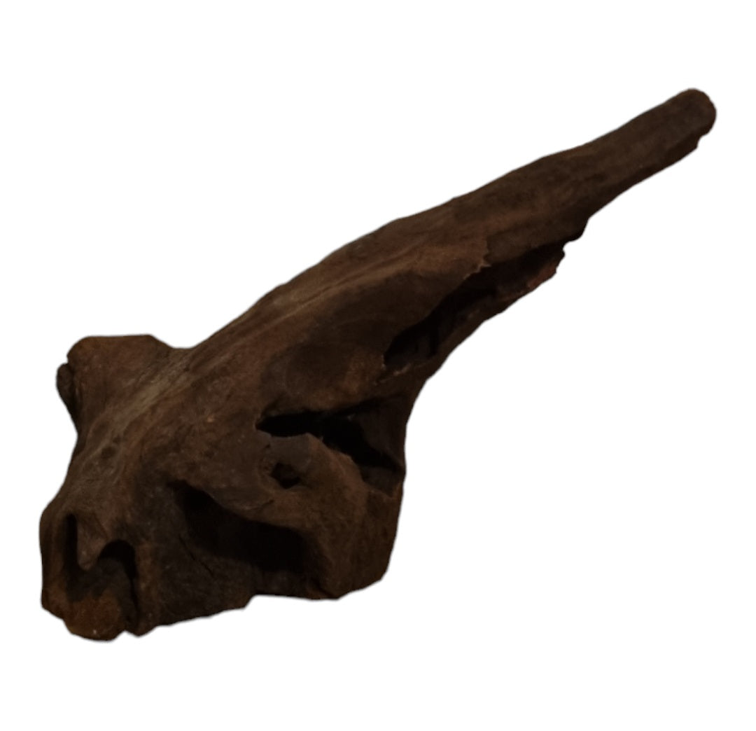 Driftwood / Flusswurzel Nr. 487