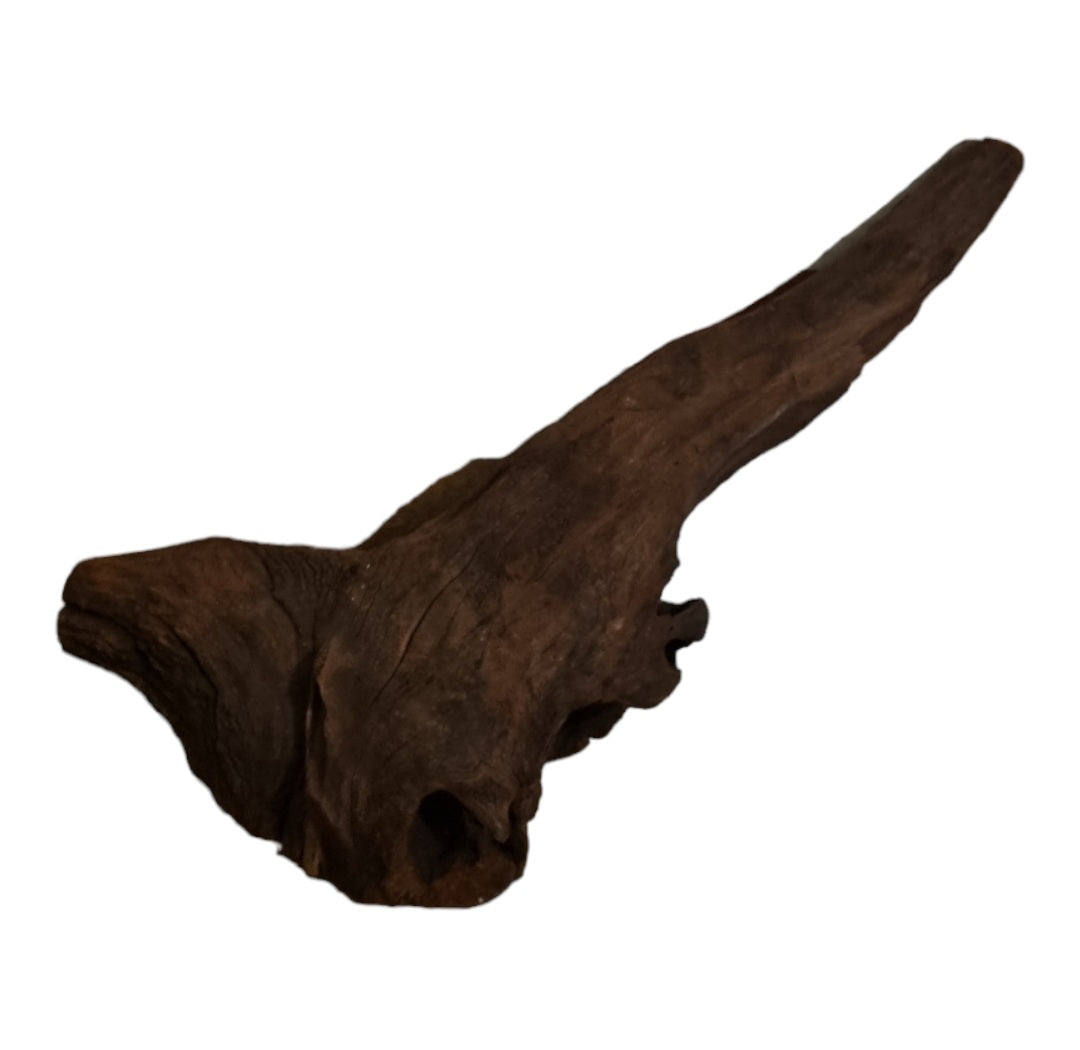 Driftwood / Flusswurzel Nr. 487