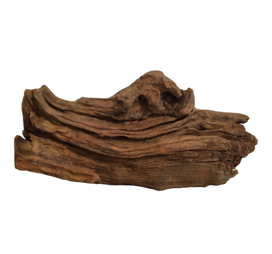 Driftwood / Flusswurzel Nr. 483
