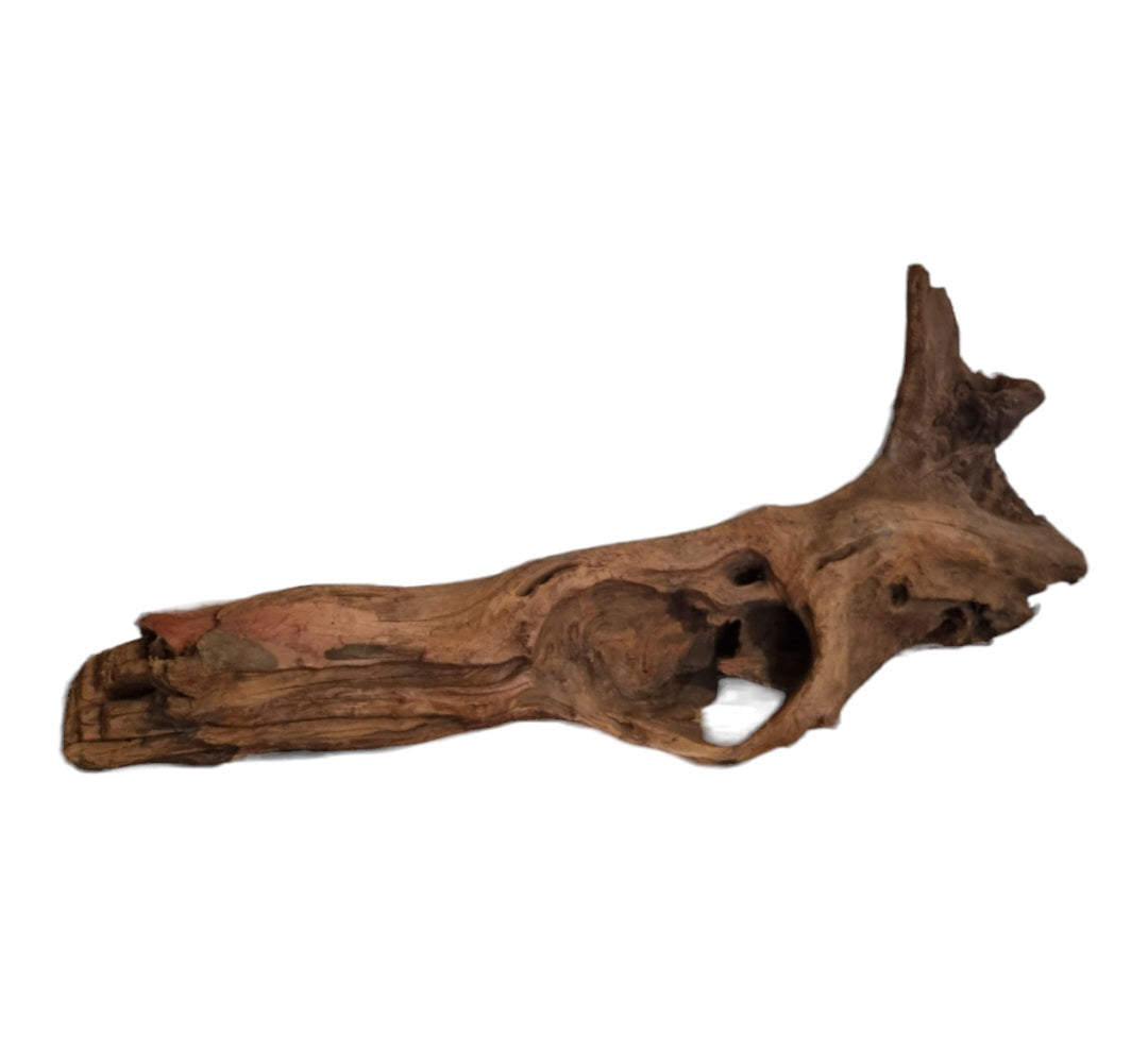 Driftwood / Flusswurzel Nr. 481