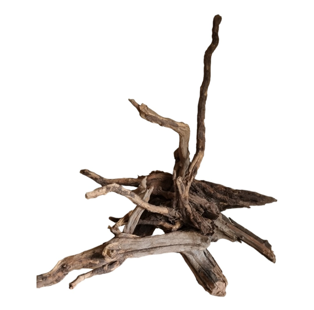 Coral Sinker Wood Nr.552