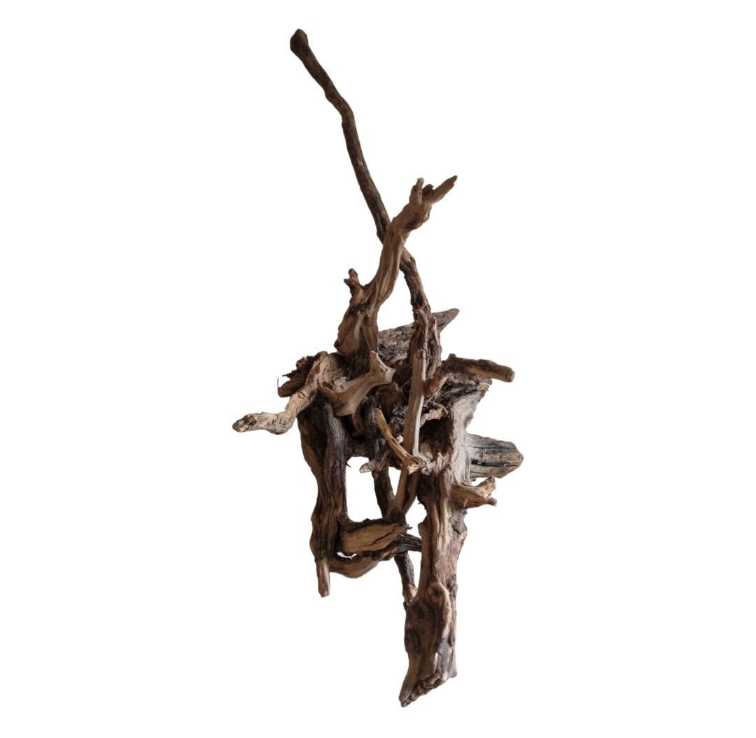 Coral Sinker Wood Nr.552