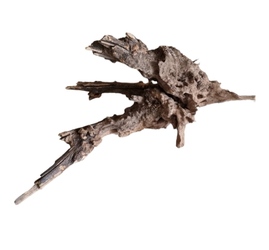 Coral Sinker Wood Nr.566