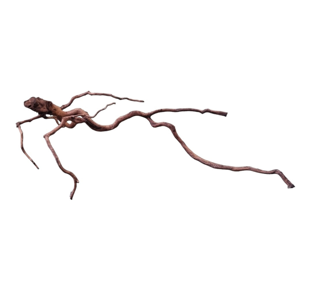 Dark Snake Wood Nr.593