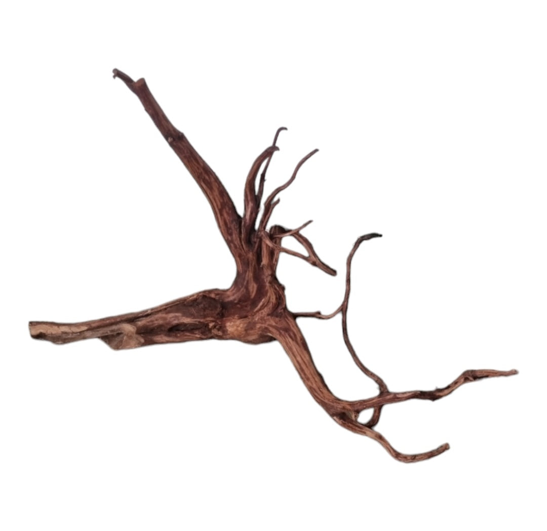 Dark Snake Wood Nr.580