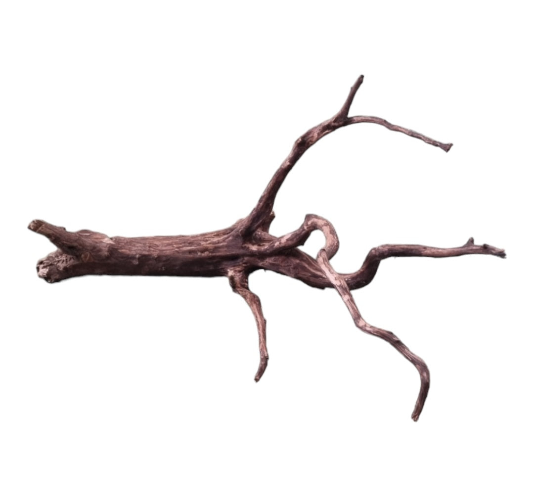 Dark Snake Wood Nr.590