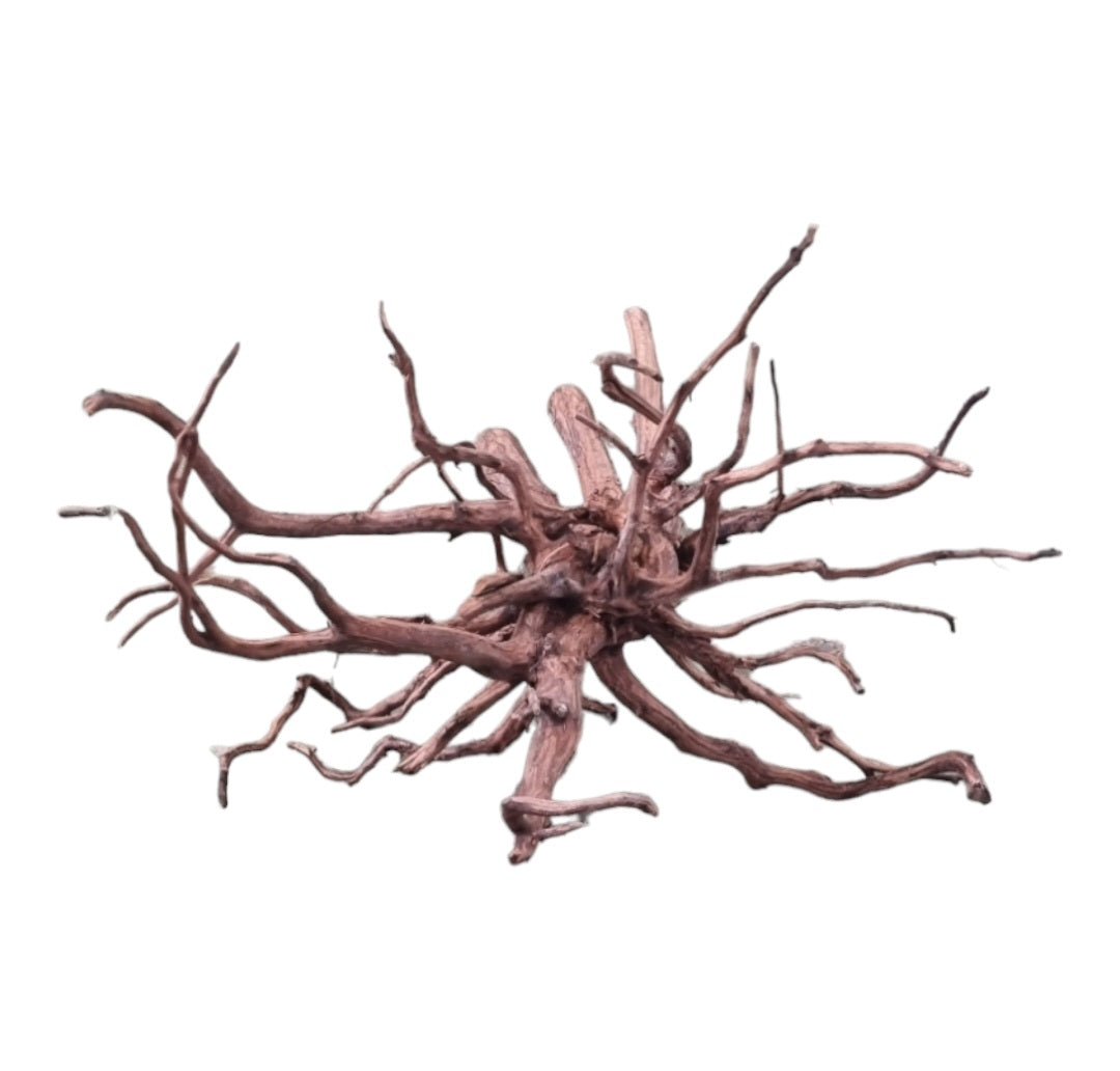 Dark Snake Wood Nr.587