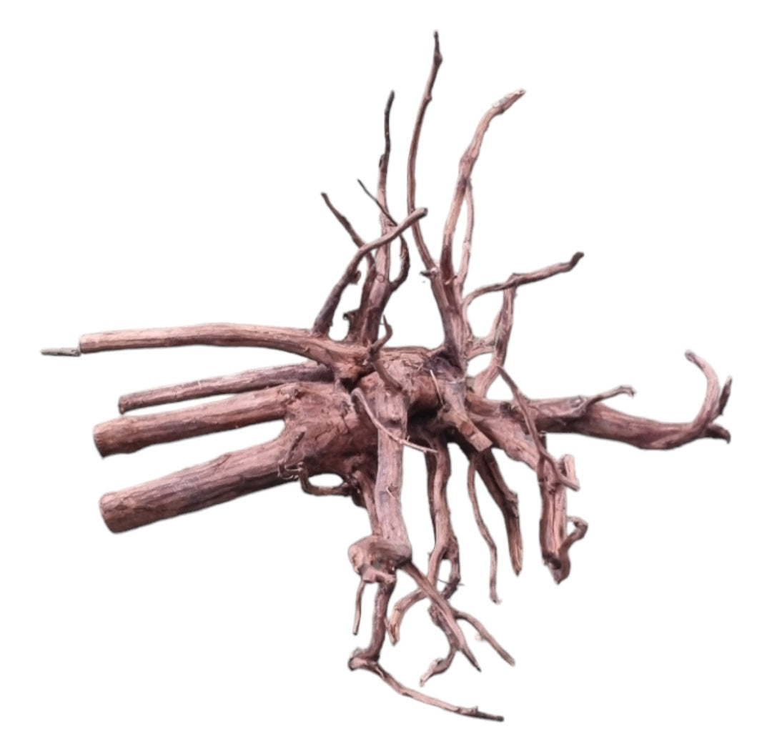 Dark Snake Wood Nr.587